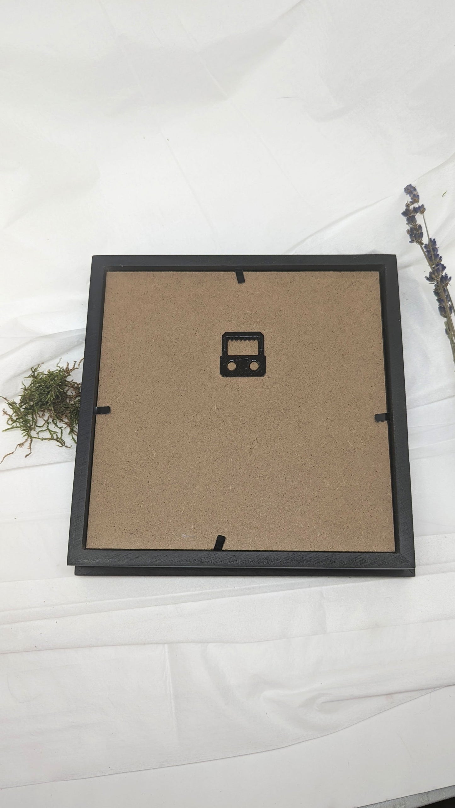 Black Shadow Box 15 x 15 cm - Naturals & Oddities - #tag1# - #tag2#