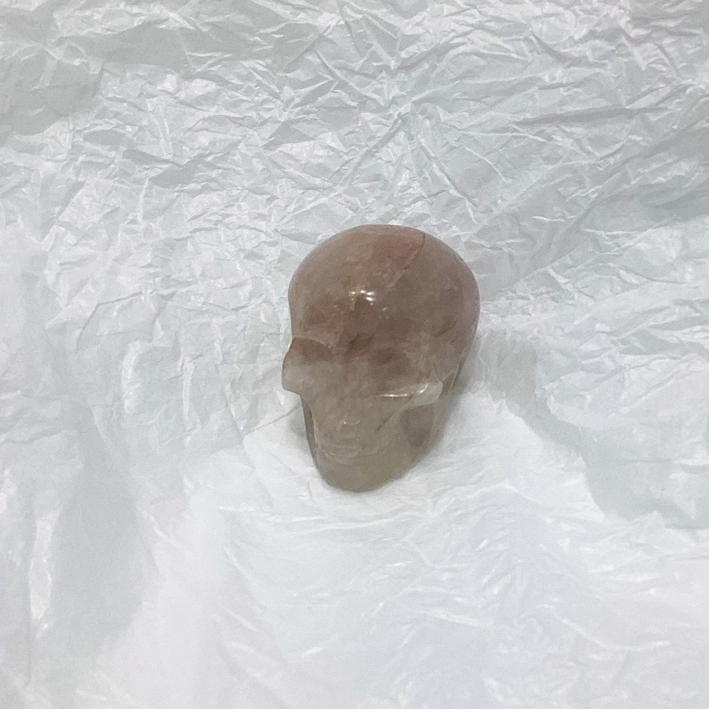 Skull Carving Medium