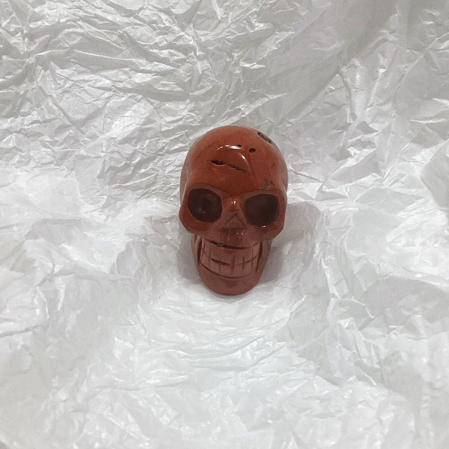 Skull Carving Medium