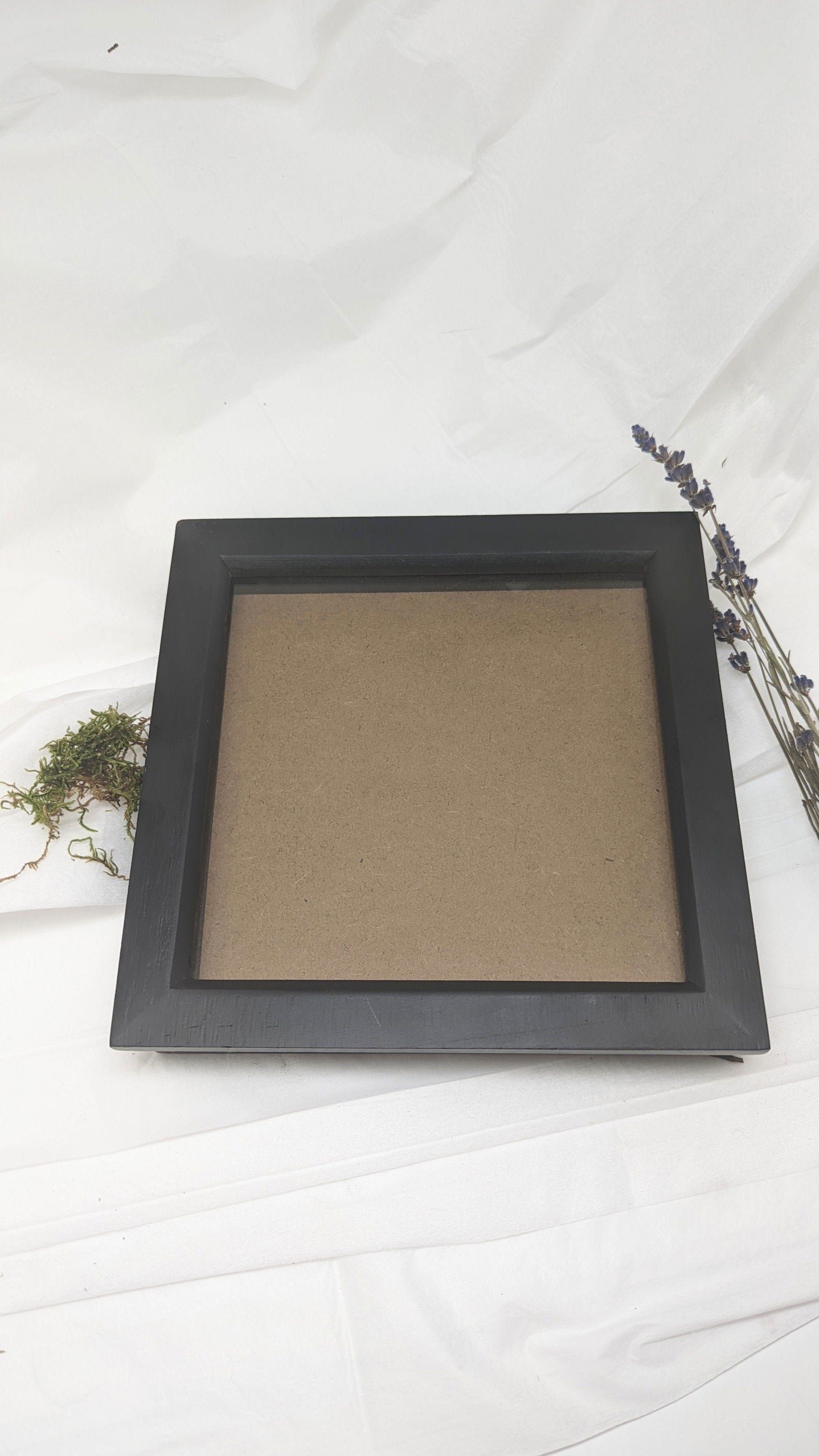 Black Shadow Box 15 x 15 cm - Naturals & Oddities - #tag1# - #tag2#