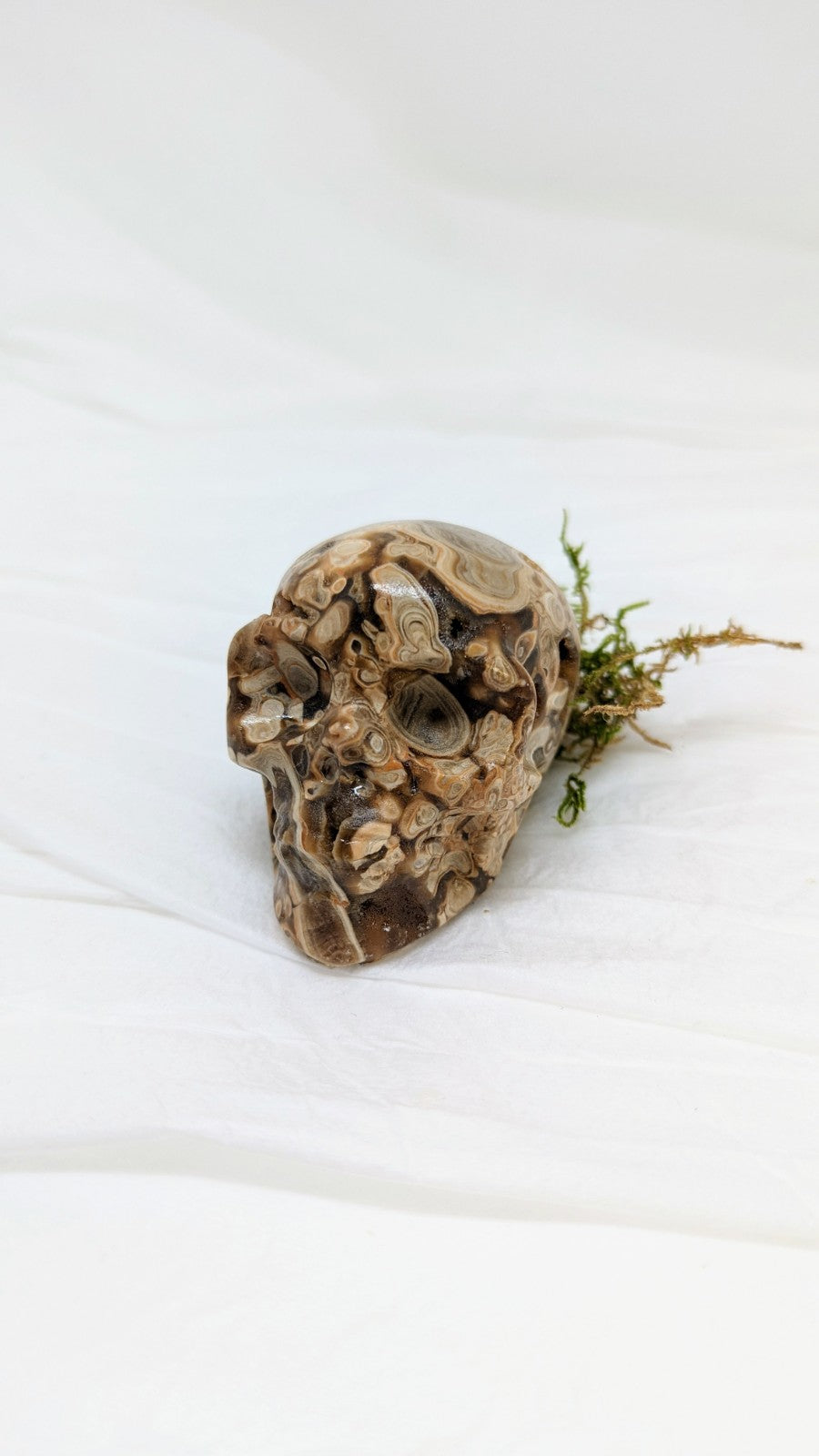 Skull - Amber Cherry Agate Carving 225 grams